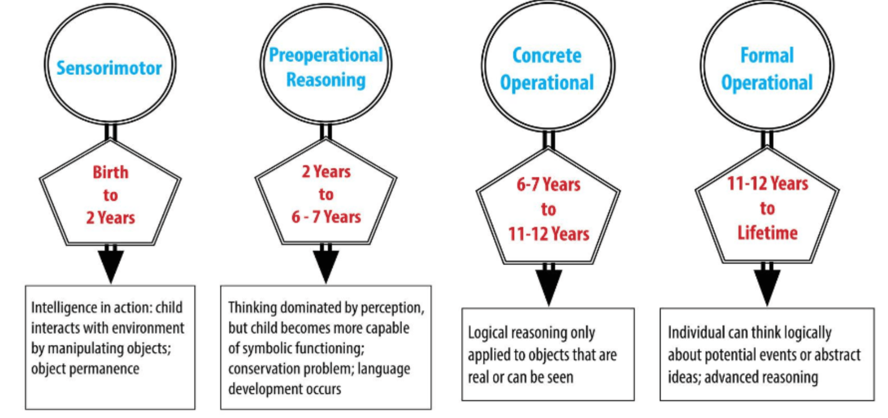 A figure of Stages of Cognitive Development 